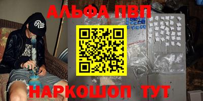 ешки Кингисепп