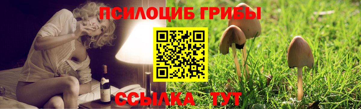 Галлюциногенные грибы Psilocybe  Галлюциногенные грибы мухоморы  Краснокаменск  Вход с VPN 